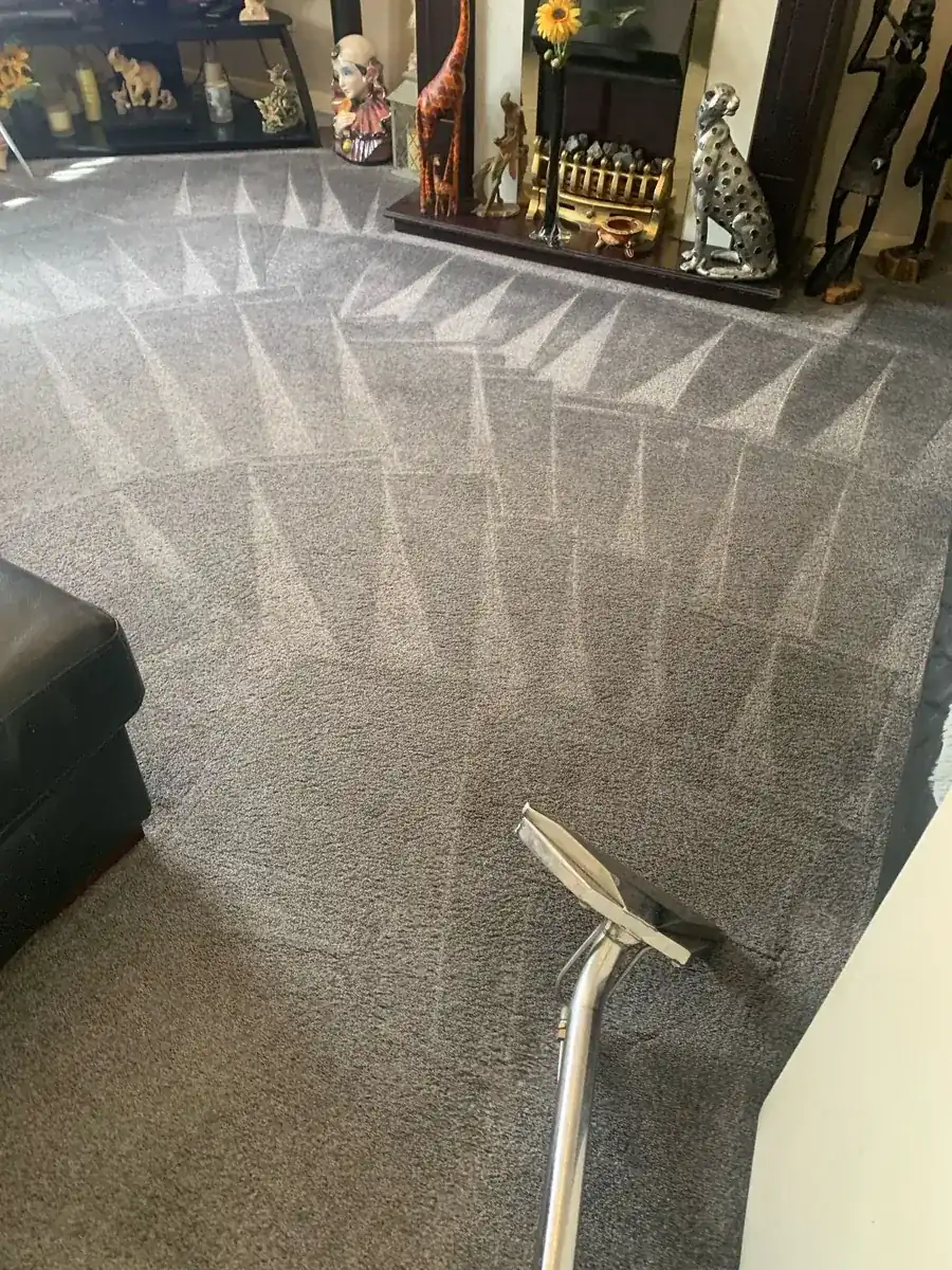 Carpet cleaning in Askern by W.M Carpet Cleaning Services