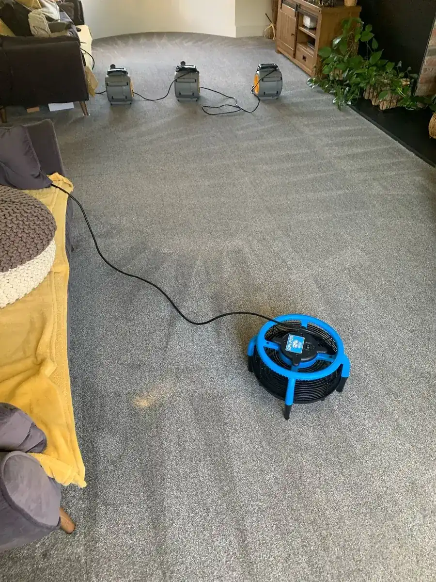 Carpet cleaning in Epworth, Belton and Haxey by W.M Carpet Cleaning Services