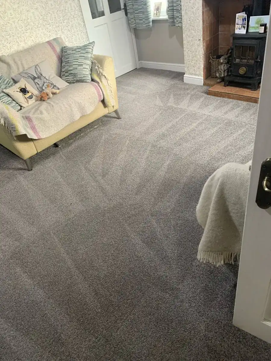 Carpet cleaning in Goole by W.M Carpet Cleaning Services