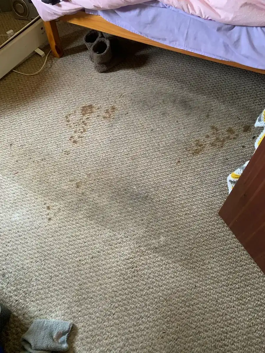 Carpet before cleaning in North Lincolnshire by W.M Carpet Cleaning Services